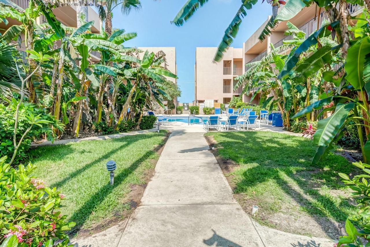 Palm Tree Escape Apartment South Padre Island Exterior photo