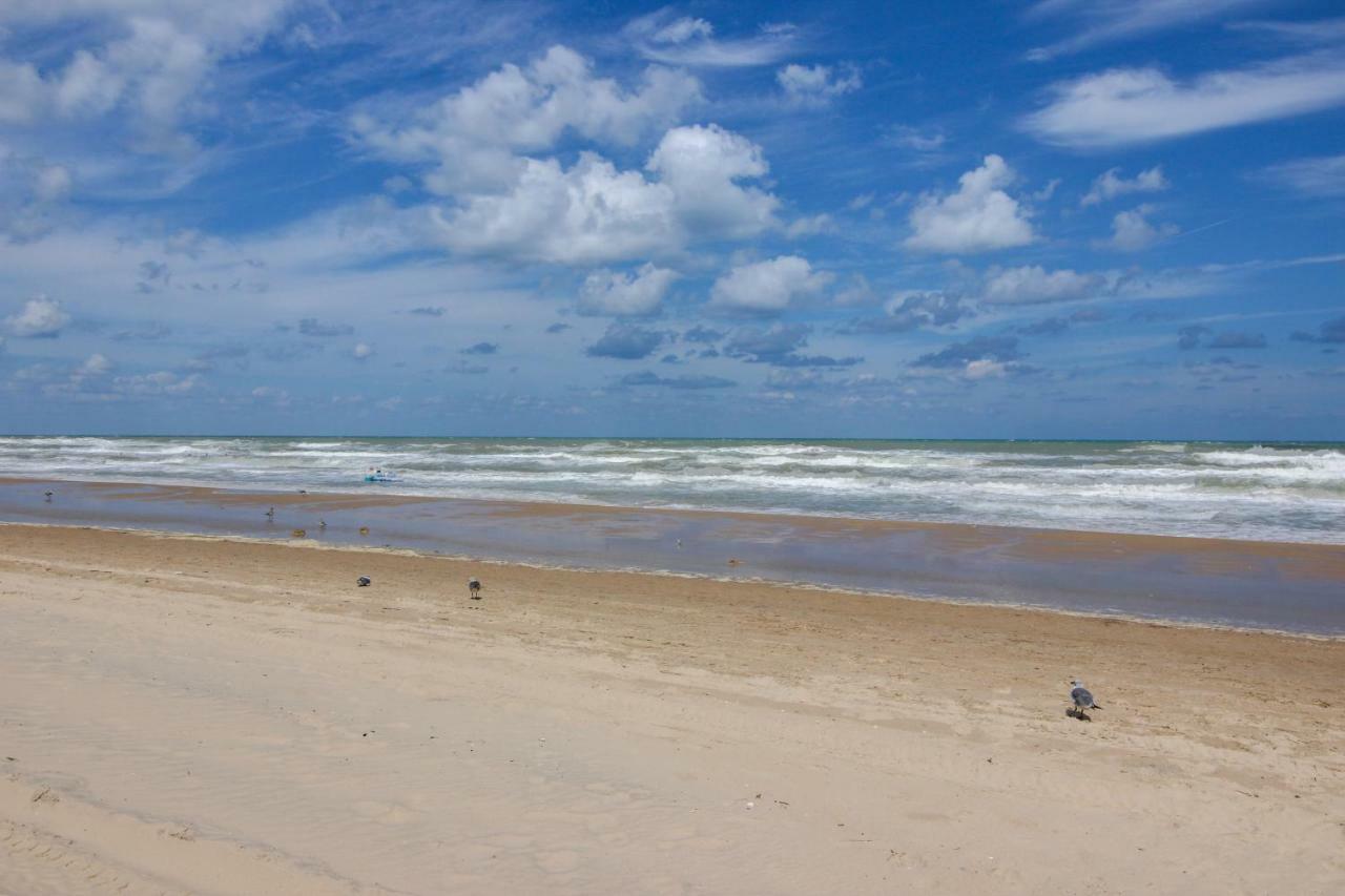 Palm Tree Escape Apartment South Padre Island Exterior photo