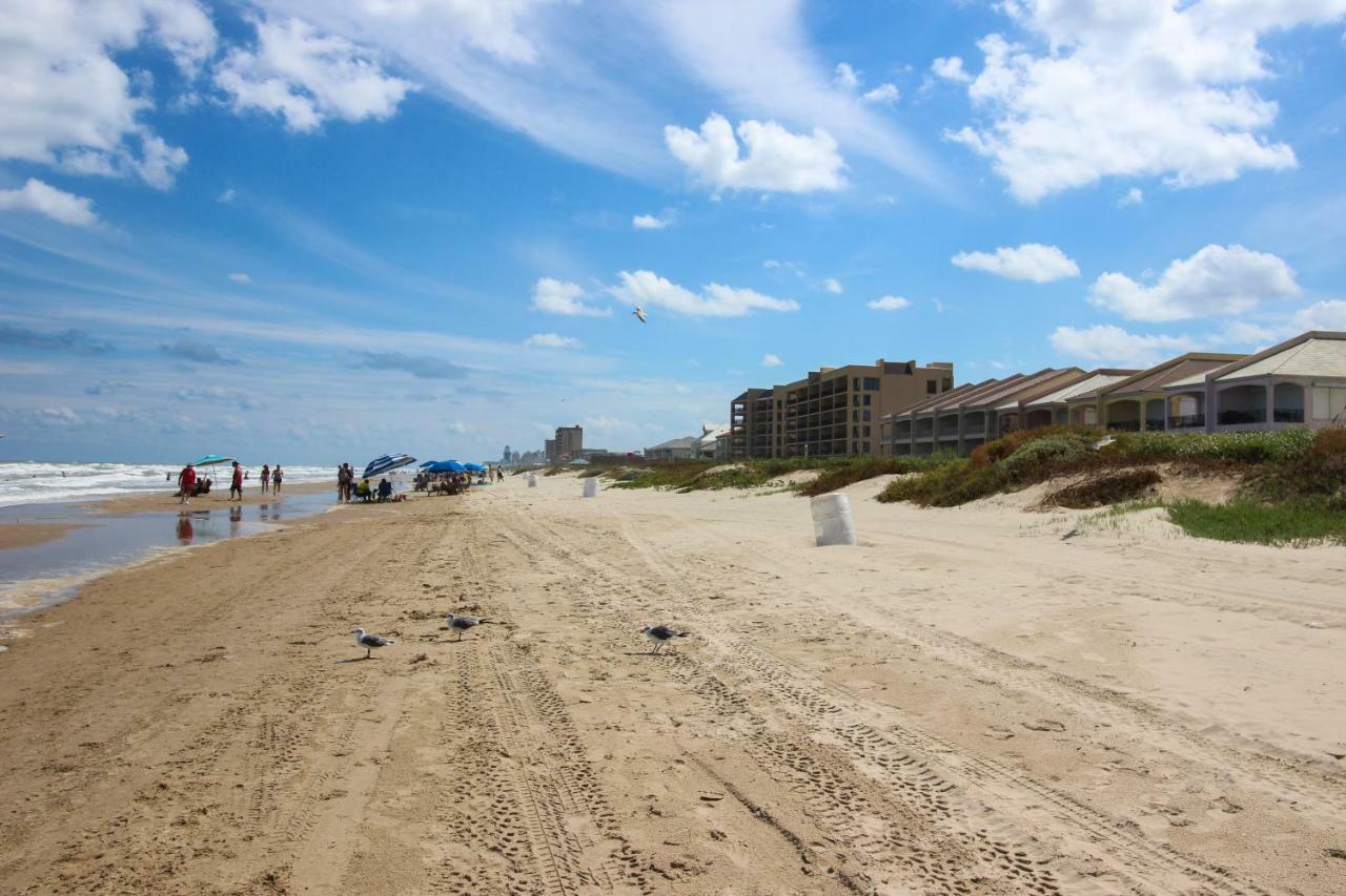 Palm Tree Escape Apartment South Padre Island Exterior photo